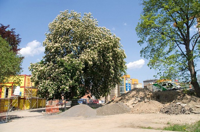 20080514_002