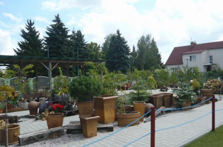 P1070779