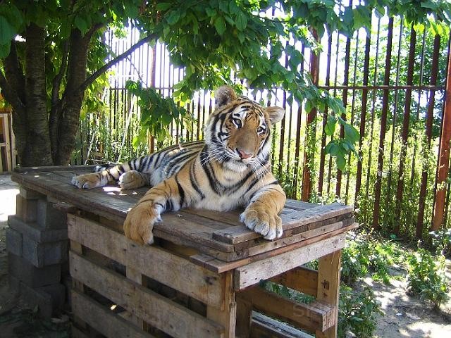 img00121
