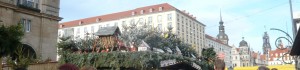 P1080655 1