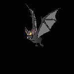 netopyr