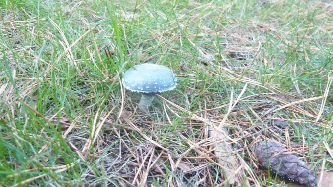 P1100741