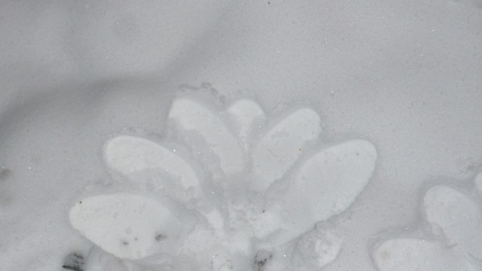 P1110251