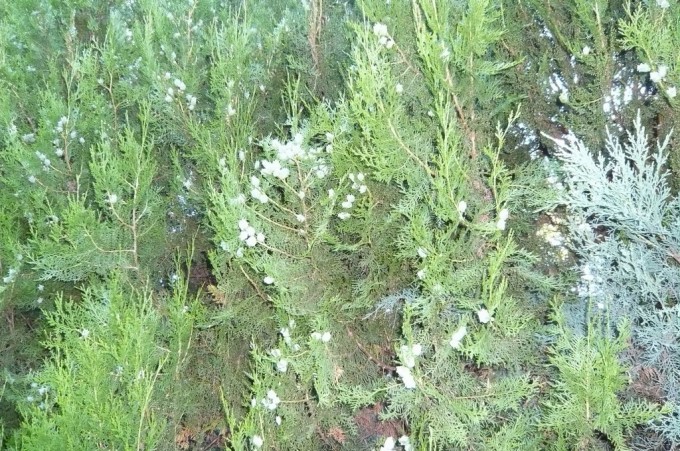 P1120180