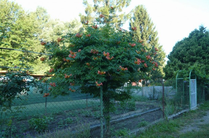 P1120182